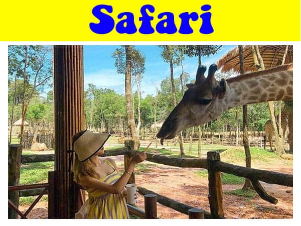 review-vuon-thu-safari-phu-quoc-chi-tiet-a-z-cuong-du-lich-com (3)